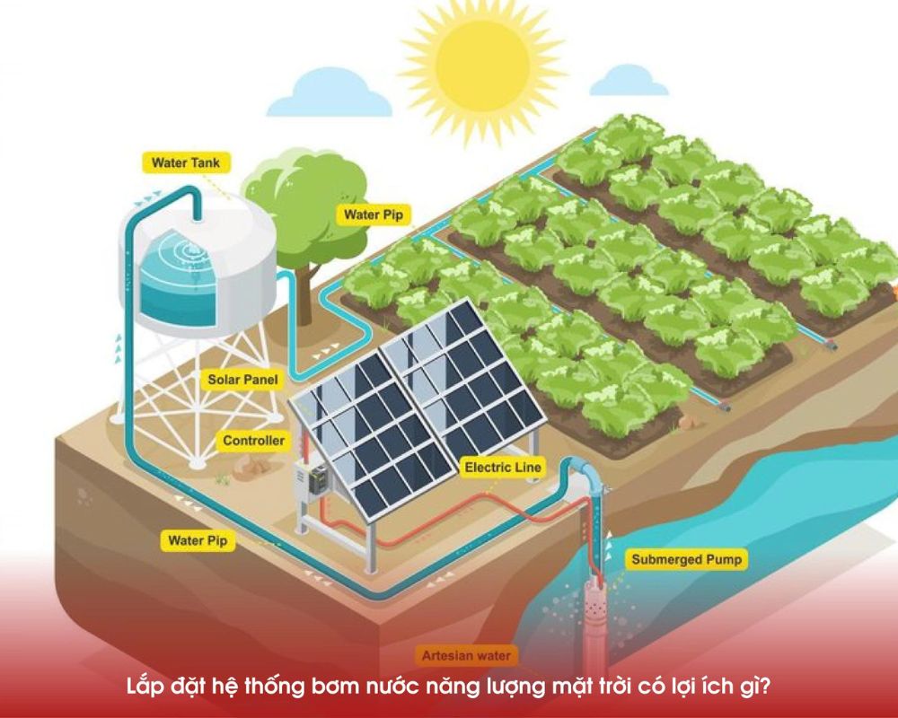 Lắp đặt hệ thống bơm nước năng lượng mặt trời có lợi ích gì?