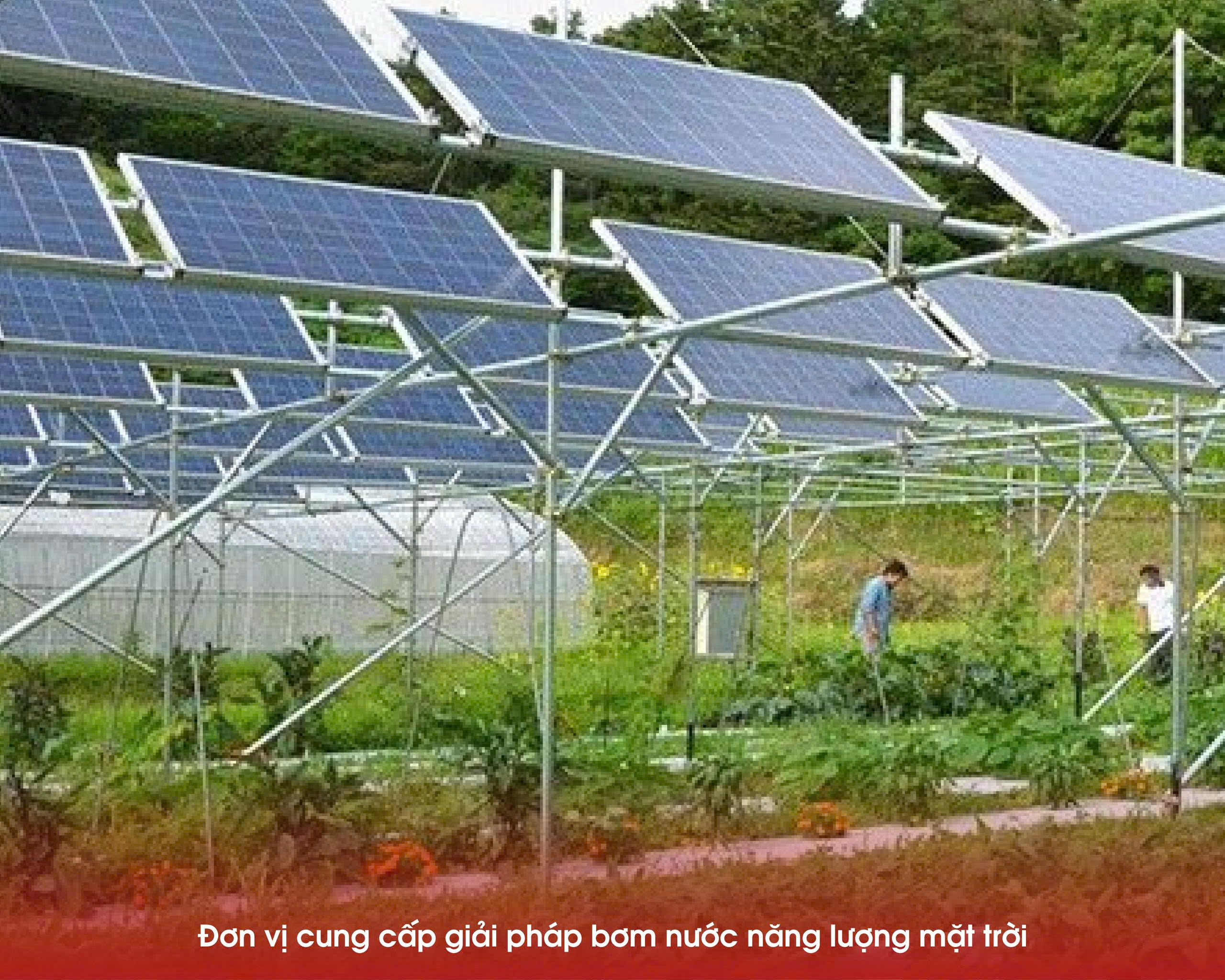 Đơn vị cung cấp giải pháp bơm nước năng lượng mặt trời